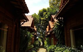 Cosy Bungalow